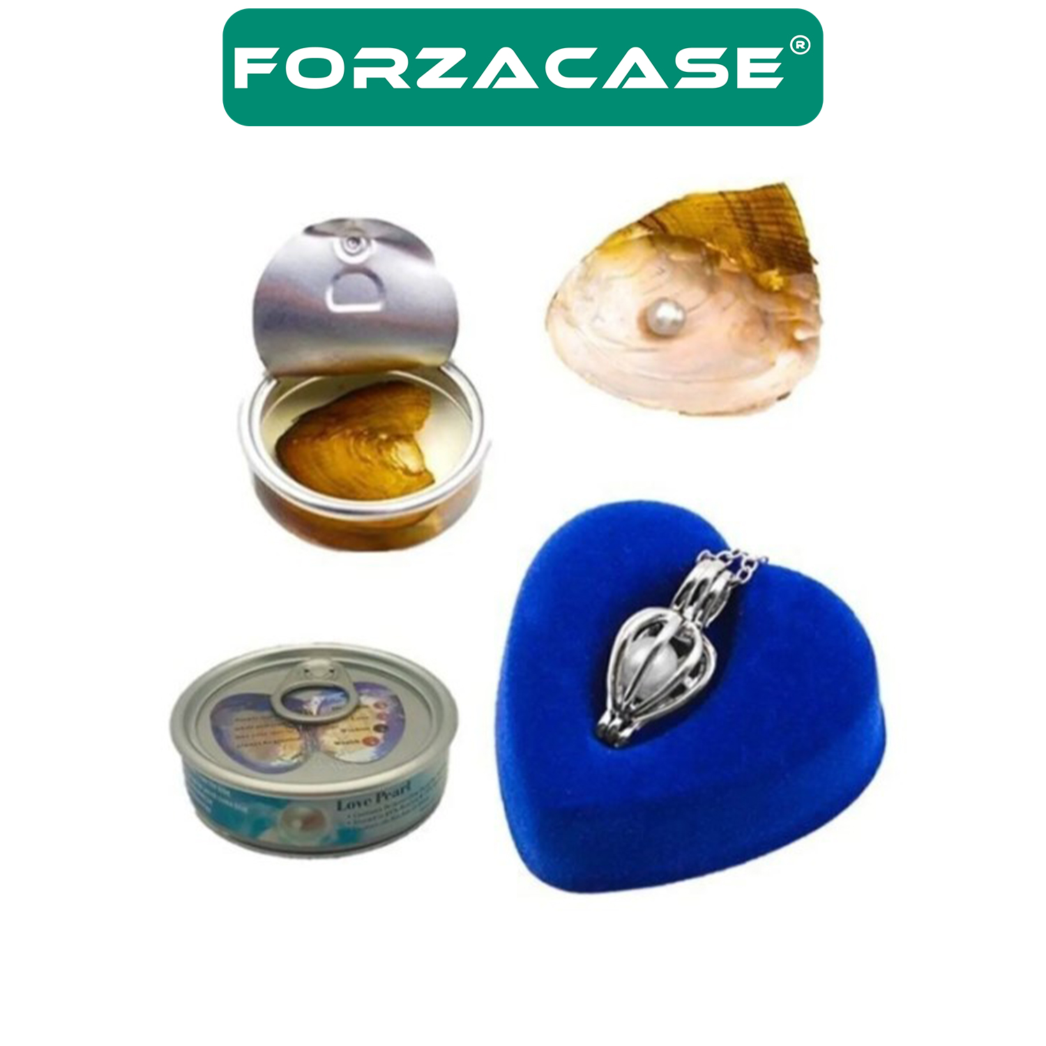 Forzacase%20İstiridye%20İçinde%20Gerçek%20İnci%20Kolye%20-%20FC050