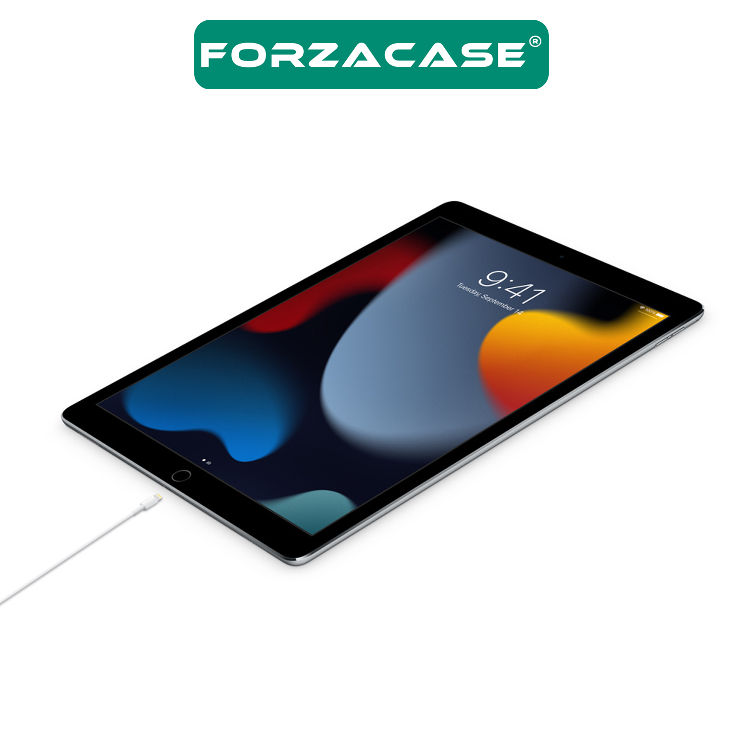 Forzacase%20USB-C%20Type-C%20to%20Lightning%20Kablosu%20PD%20Şarj%20-%20FC061