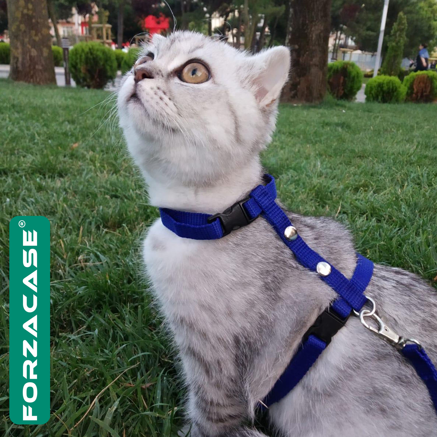 Forzacase%20Ayarlanabilir%20Kedi%20Tasması%20Çok%20Fonksiyon%20Boyun%20ve%20Göğüs%20Tasması%20-%20FC134